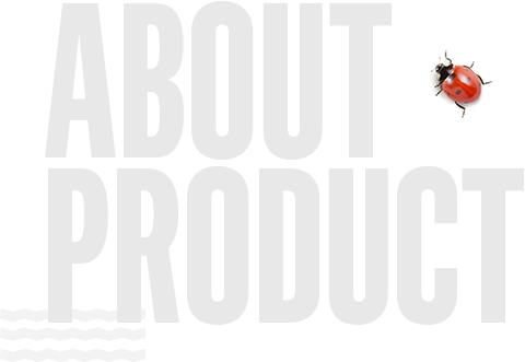 About Product